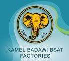 Kamel Badawi Bsat